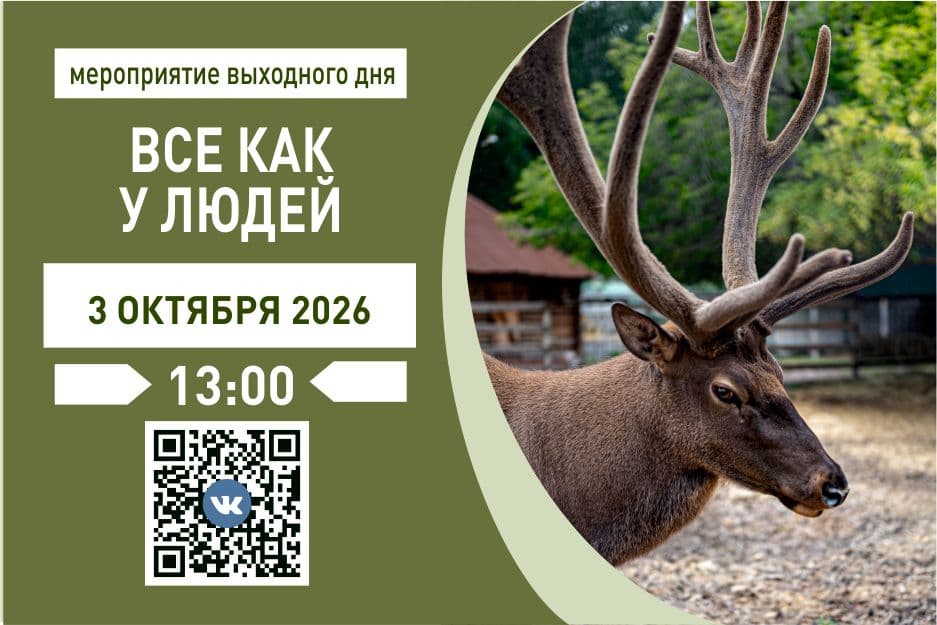 03- все как у людей.jpg