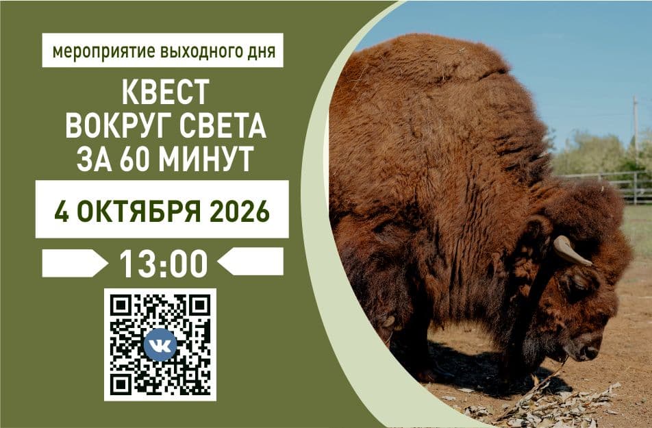 04.10 - вокруг света.jpg