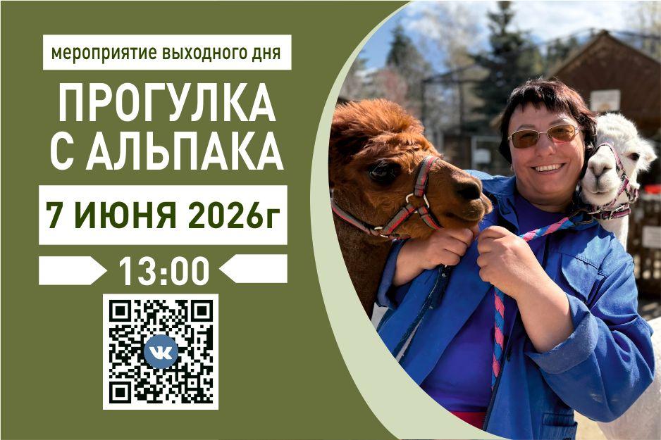 07.06 Альпака.jpg