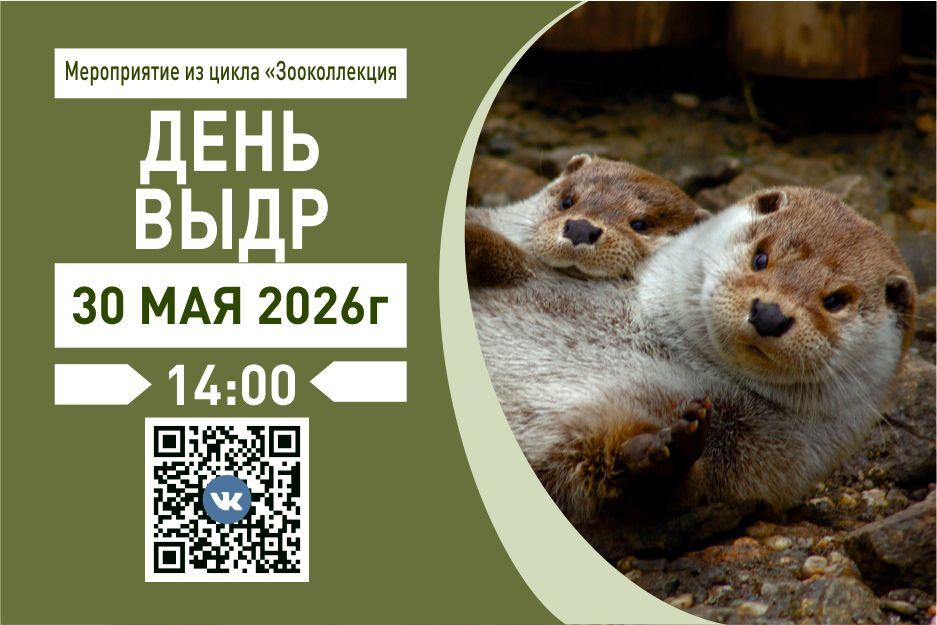 28_05_выдры.jpg