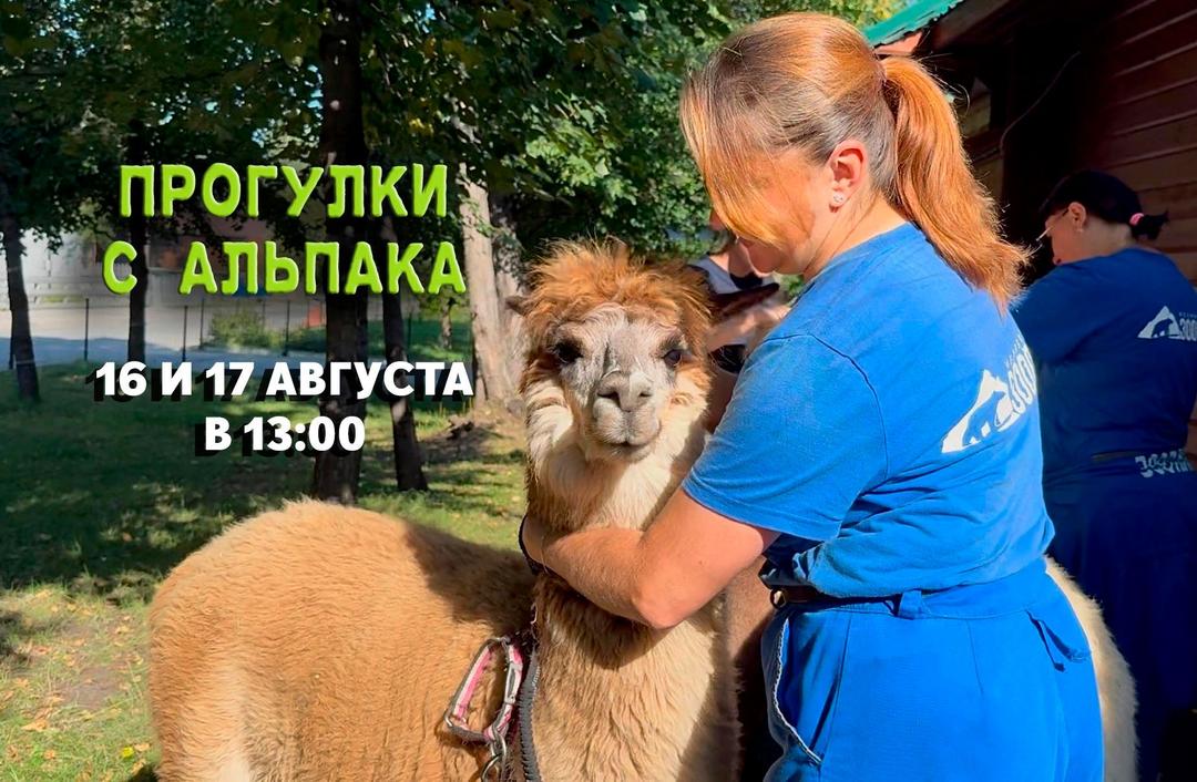 А 16,17 августа.jpg