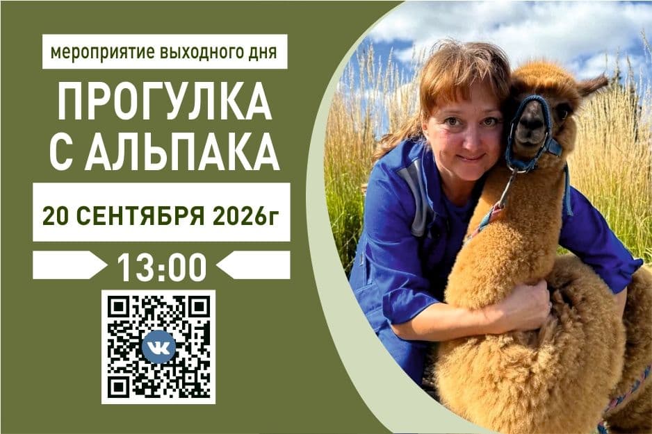 Альпака 20.09.jpg