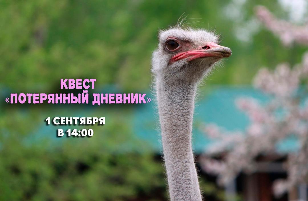 Потерянный дневник.jpg