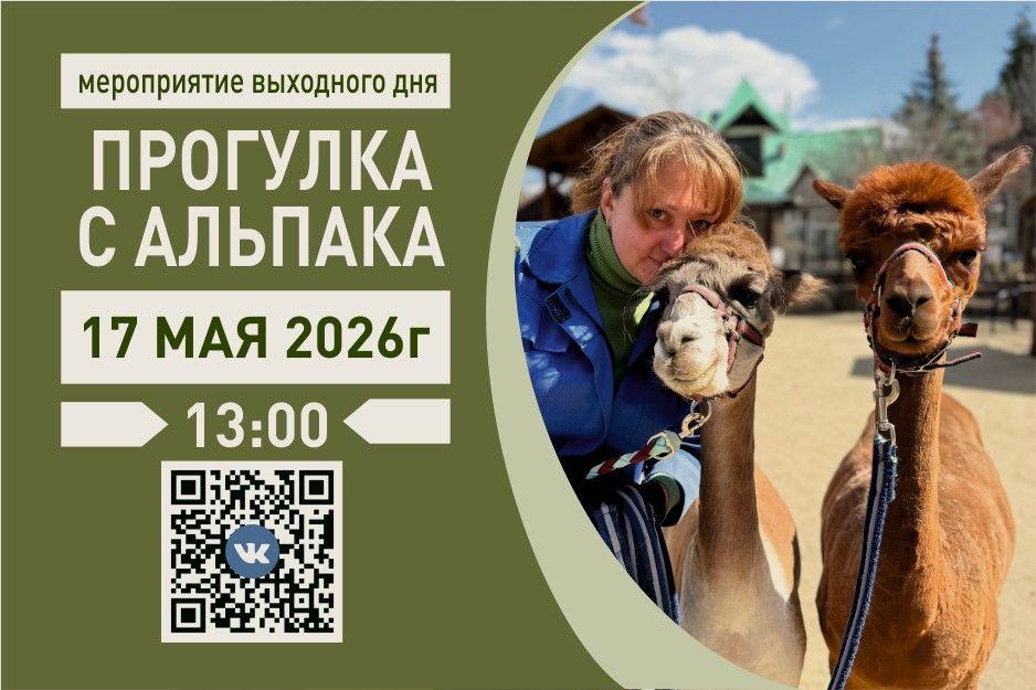 альпака. май.jpg