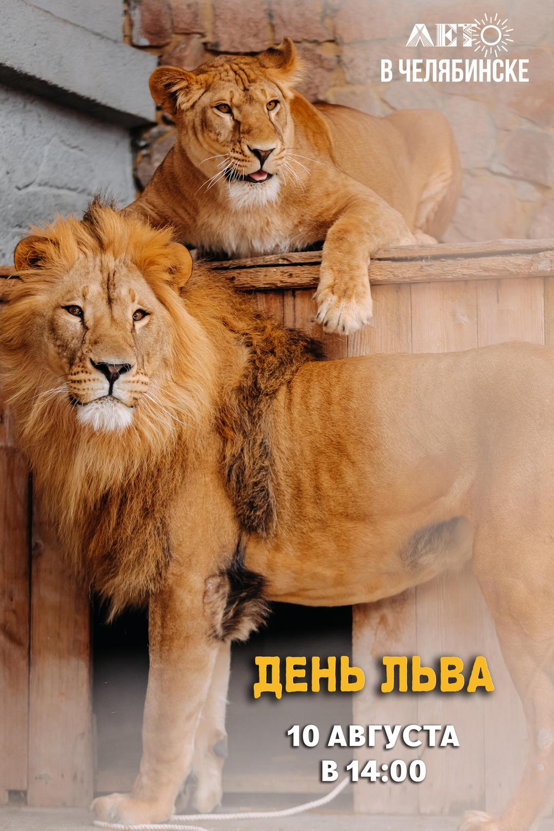 день льва последнее.jpg