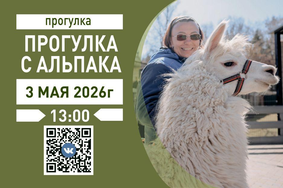 прогулка с альпака.jpg