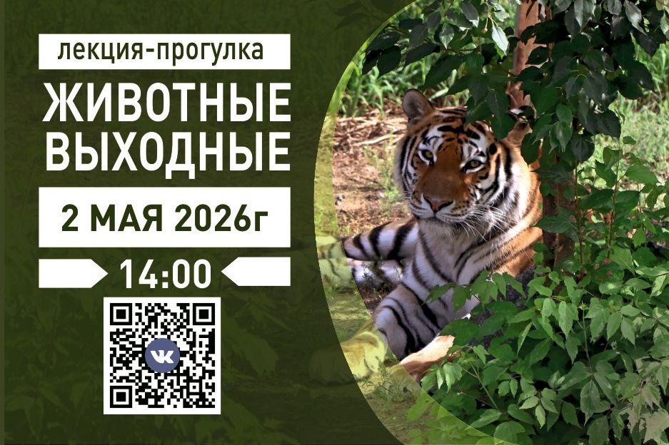 живоные выходные.jpg