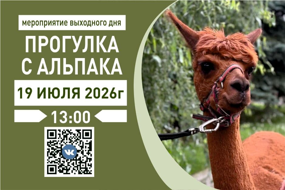 19.07 - альпака.jpg