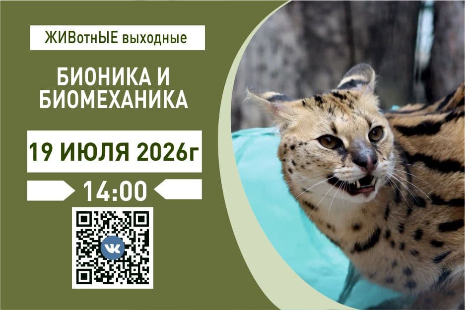 19.07 - бионика и биомеханика.jpg