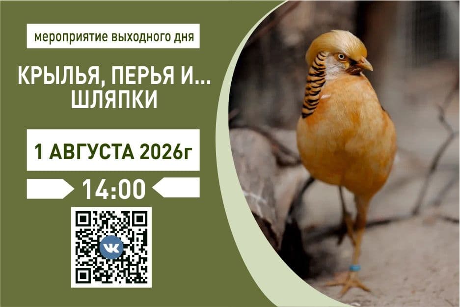 7oY4urpKNhVNU-F31axKdFatCOi8QZoI2VJAhYsWebfLruTXXE3Z7wXGg9pGHpVNbcyBDWm0QFRRFeFiwrpgucgs.jpg