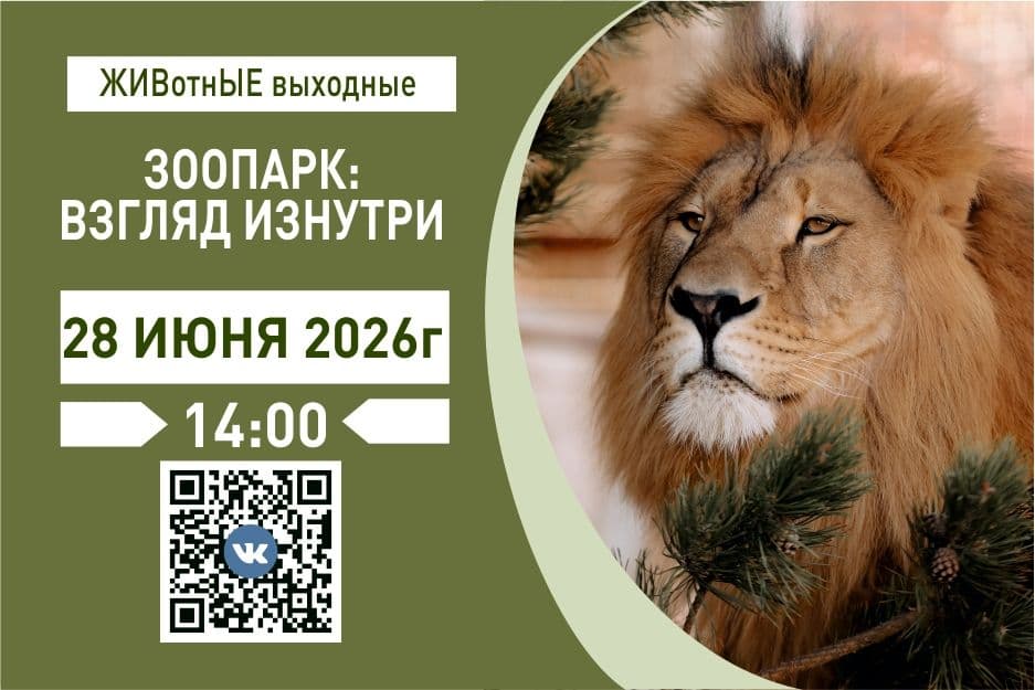 B58yX2igMdn7mQHvN9_un7VnXlOauiZiO9P0USP9ajrn7qqf6Pvzu4aaaseNnVwftuuvW8GhH3y662Puda8lDAq2.jpg