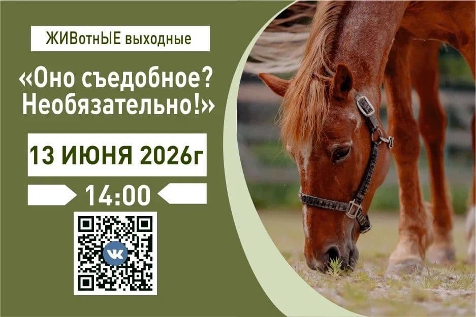 CinT1Zdoew-h2yL4KzakYZbx07ownssfeQINbvZ8HFGZnUqiW_DZI9q_YNcETg9jpCMc5QukVwbtVXgtP5Lbj4jo.jpg