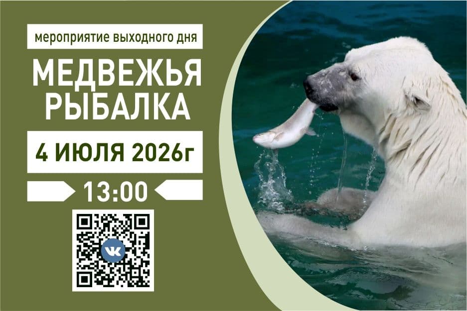 KgingMeKqA706I4fWCqlHy48NyQ-OHZROGEBXFUY8aumdGb8P2c5N1sEDPKD8Xkkar7TQJ4B7-ta-3JOM6Fz-3hV.jpg