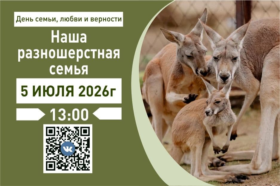 VdIJt3jlsl1o5qBiGvNj4zCHV9uOilfZPFBF-T0rFD9drTu4dppVDhj_o3n45r3JBiRkVpzMC_0ry5gv9sSk2L0L.jpg