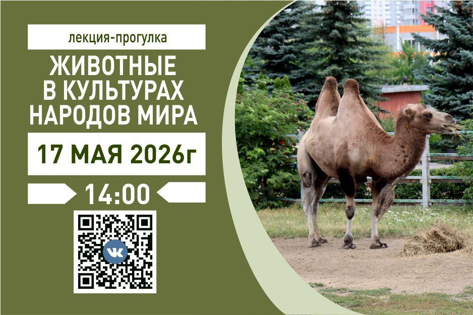 Животные в культурах. май.jpg