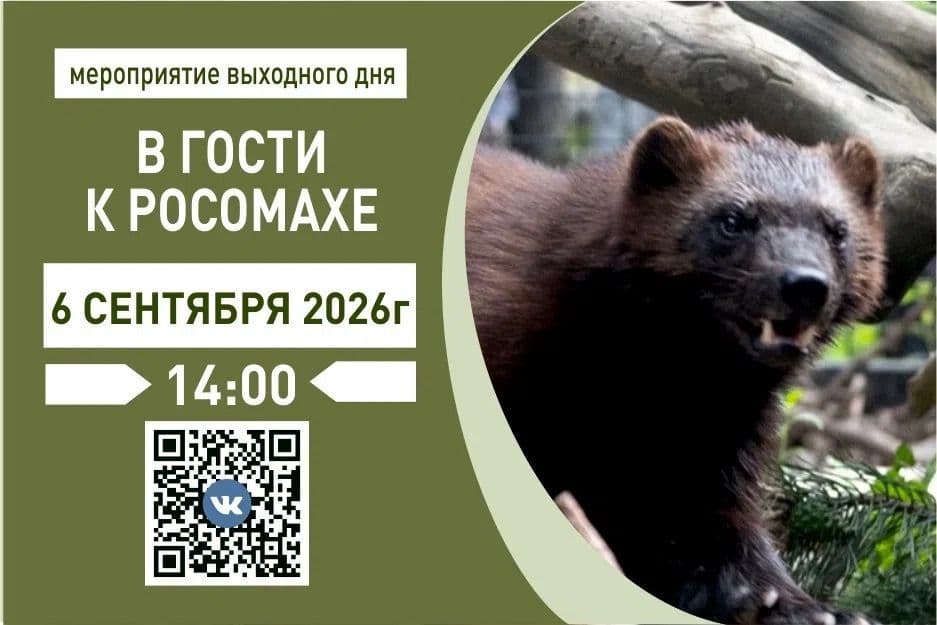 nm8lDdbt3SLaCMEo4tXT0hMehj7kmpOT5h9U9kbp3G4DFvRr2A_hhAxWARCzBLlKd4TAIZpQ5MIwLkE93zEJACvs.jpg